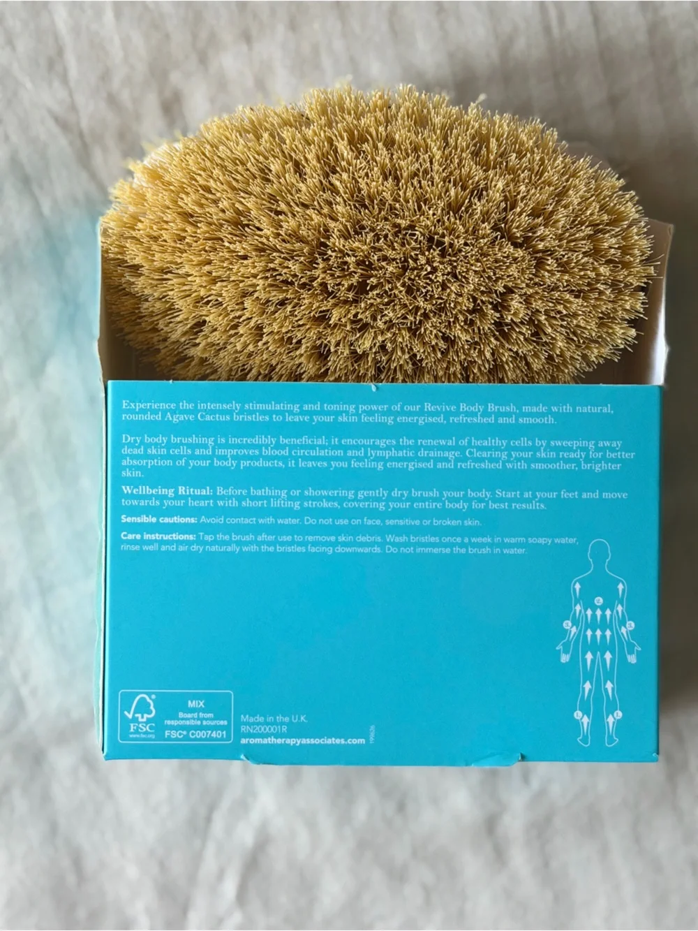 NWT Wooden Dry Brush - Cactus Bristles